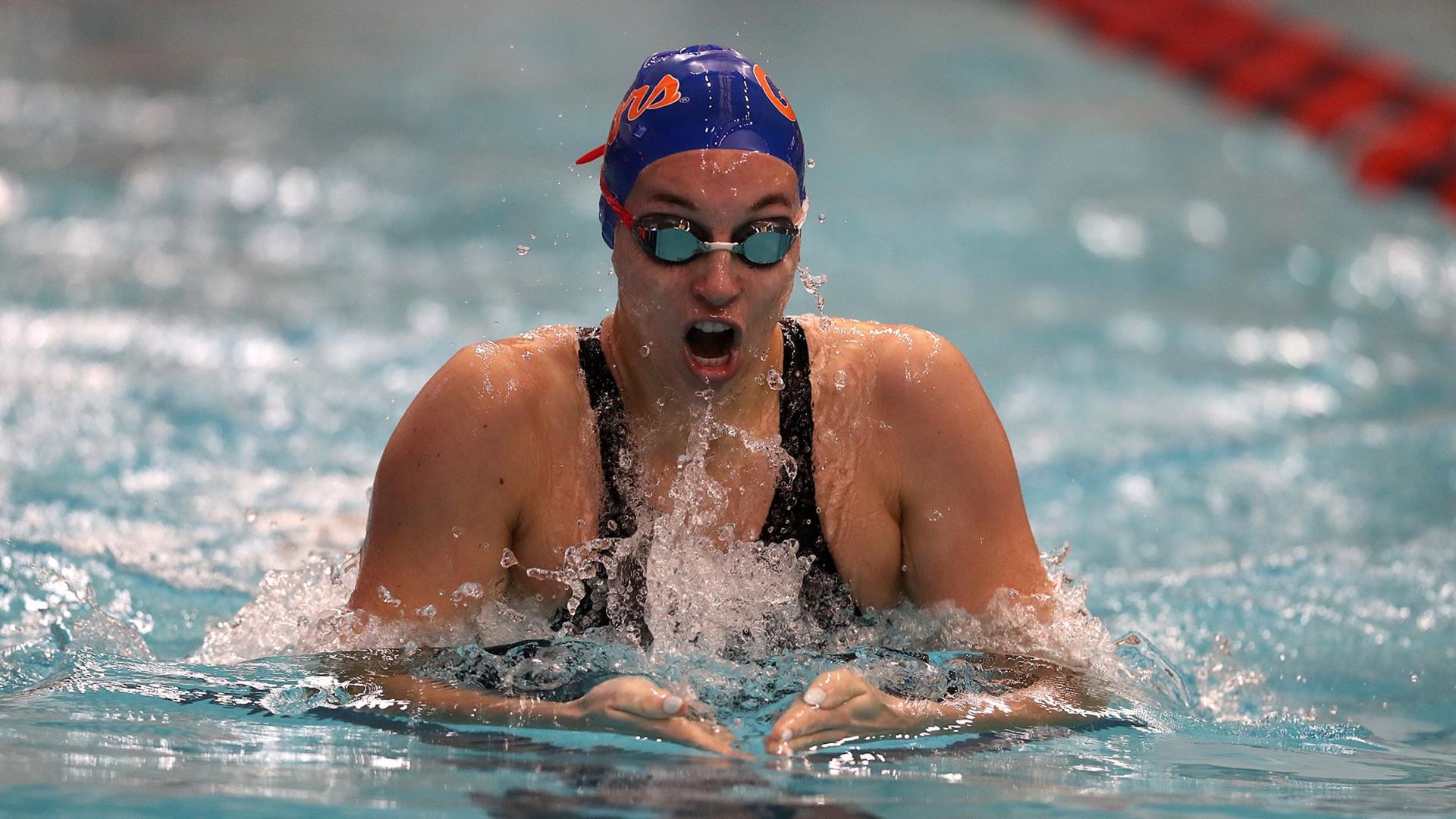 UF Women's Swimming and Diving: Day Two of 2020 SEC Championships Ends