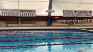 UF Swimming & Diving: Florida's Pool to be Named the Ann Marie Rogers