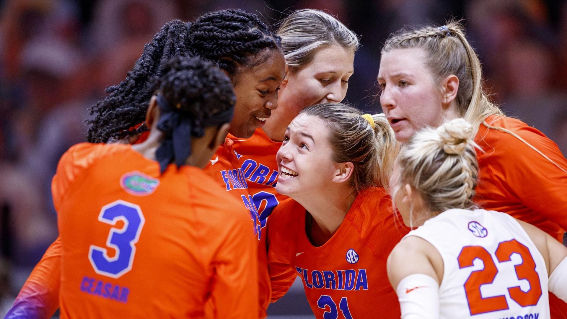 UF Volleyball Florida Sweeps Tennessee to Close Out Series Alachua