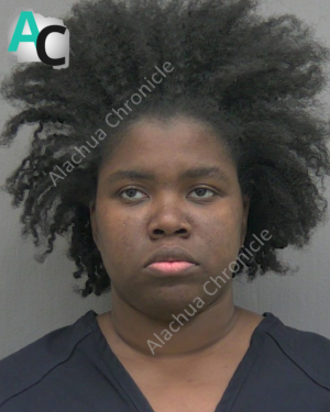 Alachua County Woman Pleads Guilty to Federal Child Pornography Charges
