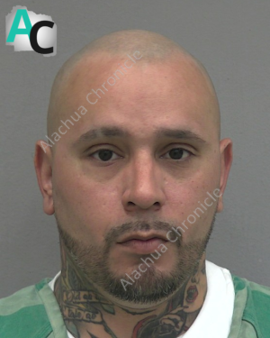 Gainesville man sentenced to 18 months in prison after pleading to drug ...