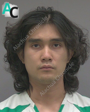Gainesville Man Charged With 31 Felonies in Lake City Child Sex Case