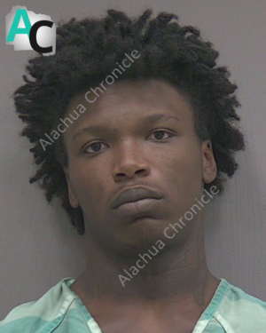 Teen Charged as Adult in Treehouse Village Homicide Two Days Before 18th Birthday