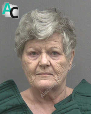 Archer Woman Arrested After Two-Hour Domestic Battery Standoff