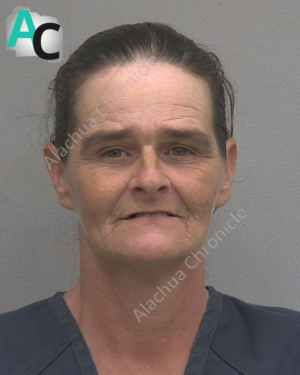 Homeless Woman Arrested After Mooning Customer at Car Wash