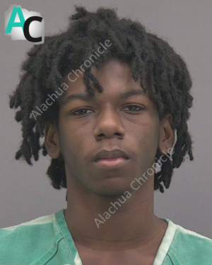 Teen Charged as Adult in Treehouse Village Homicide Days Before 18th Birthday