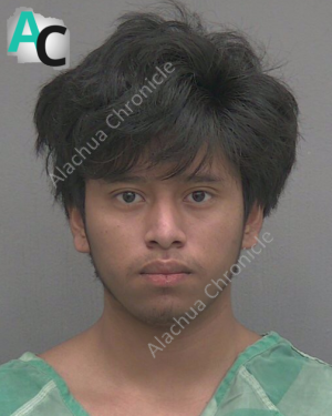 Teen Charged as Adult Over Alleged Abuse of 12-Year-Old at 17