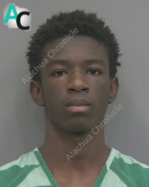 15-Year-Old on Probation Charged as Adult in Armed Robbery, Car Theft