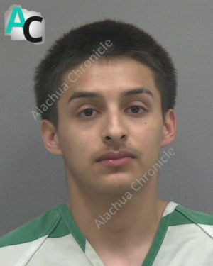 Gainesville Man Arrested After Allegedly Aiming Gun at Panhandler