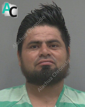 Self-Admitted Illegal Immigrant Arrested for DUI, Tried to Harm Deputy
