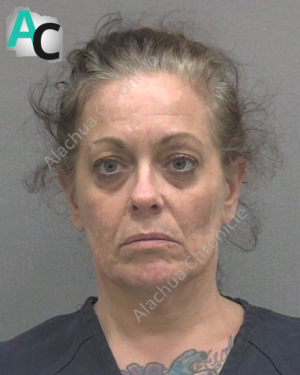 Homeless Woman Arrested After Stealing Another Homeless Man’s Van