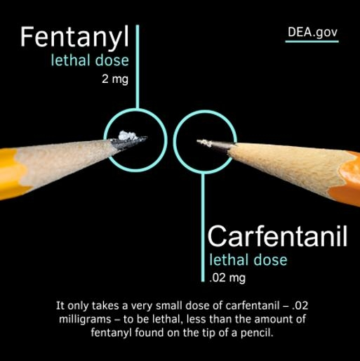 Gainesville Man Sentenced to 25 Years in Federal Prison for Fentanyl Overdose Death